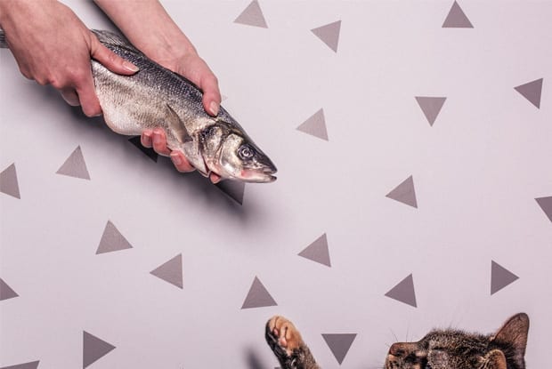 Comment créer une landing page efficace?