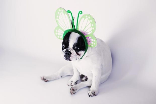 Optimisez vos images pour accélérer WordPress