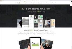 theme-Avada
