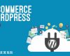 Les outils pour rendre plus performant votre e-commerce WordPress E-Commerce Wordpress